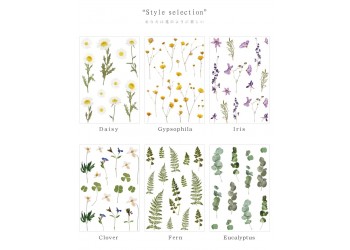 10 stuk Natuurlijke Daisy Clover Woorden Stickers Transparante Bloemen Bladeren Planten Deco