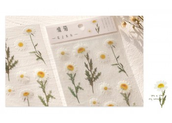 10 stuk Natuurlijke Daisy Clover Woorden Stickers Transparante Bloemen Bladeren Planten Deco