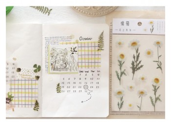 10 stuk Natuurlijke Daisy Clover Woorden Stickers Transparante Bloemen Bladeren Planten Deco