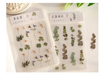 10 stuk Natuurlijke Daisy Clover Woorden Stickers Transparante Bloemen Bladeren Planten Deco