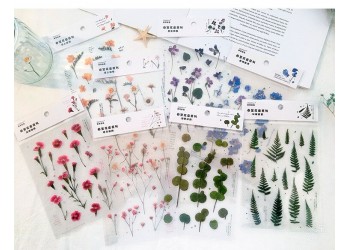 18 stuk Natuurlijke Daisy Clover Woorden Stickers Transparante Bloemen Bladeren Planten Deco
