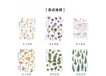 18 stuk Natuurlijke Daisy Clover Woorden Stickers Transparante Bloemen Bladeren Planten Deco