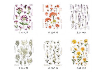 18 stuk Natuurlijke Daisy Clover Woorden Stickers Transparante Bloemen Bladeren Planten Deco