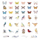 40 stuk aquarel schilderen vlinder vogel Cartoon stickers voor kinderen en volwassenen Beloningsstickers Journal Laptop Telefoon Stickers