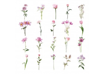 40 stuk roze bloem Transparant stickers voor kinderen en volwassenen Beloningsstickers Journal Laptop Telefoon Stickers