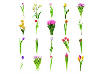 40 stuk tulp bloem Transparant stickers voor kinderen en volwassenen Beloningsstickers Journal Laptop Telefoon Stickers
