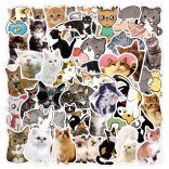 50 stuk kat cat Cartoon stickers voor kinderen en volwassenen Beloningsstickers Journal Laptop Telefoon Stickers