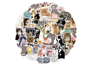 50 stuk kat cat Cartoon stickers voor kinderen en volwassenen Beloningsstickers Journal Laptop Telefoon Stickers