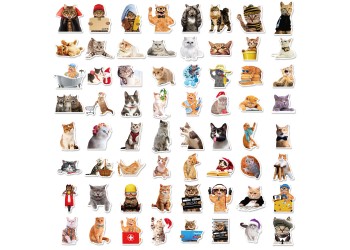 50 stuk kat cat Cartoon stickers voor kinderen en volwassenen Beloningsstickers Journal Laptop Telefoon Stickers