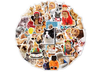 50 stuk kat cat Cartoon stickers voor kinderen en volwassenen Beloningsstickers Journal Laptop Telefoon Stickers