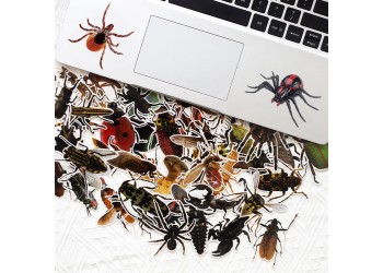 50 stuk transparant insect Cartoon stickers voor kinderen en volwassenen Beloningsstickers Journal Laptop Telefoon Stickers