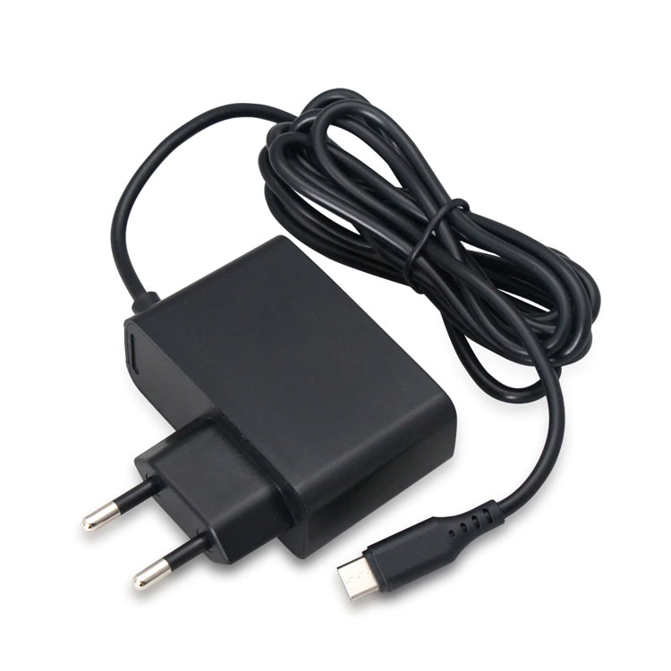2.4A AC Adapter Oplader 3M kabel Voor Nintendo Switch