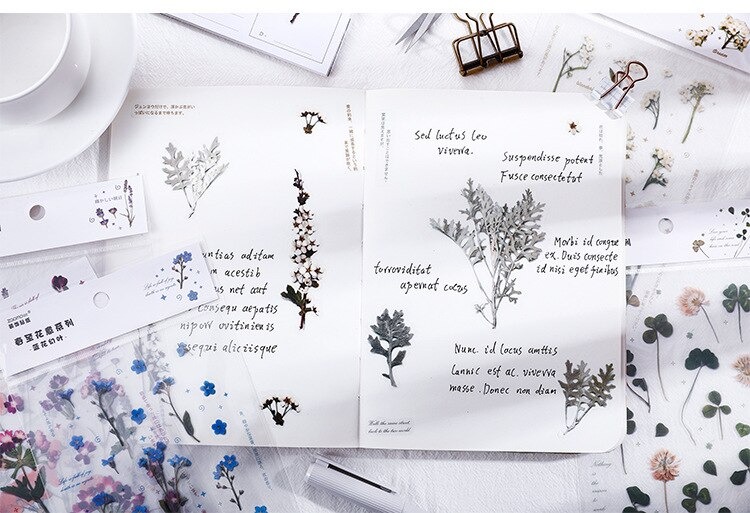 18 stuk Natuurlijke Daisy Clover Woorden Stickers Transparante Bloemen Bladeren Planten Deco