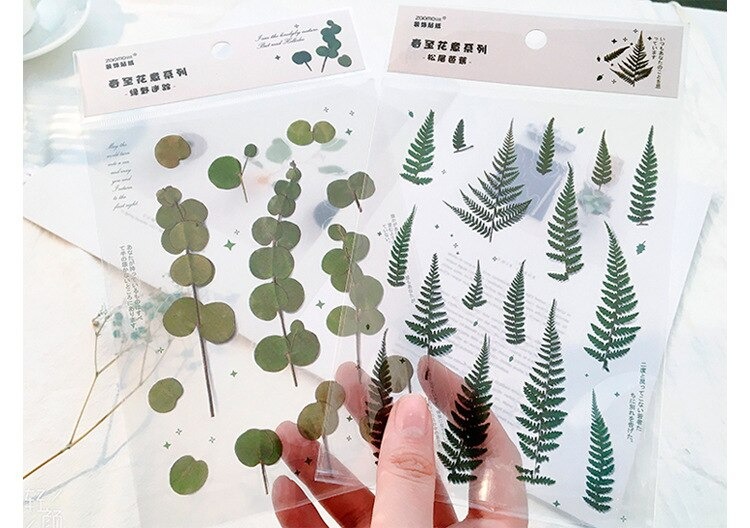 18 stuk Natuurlijke Daisy Clover Woorden Stickers Transparante Bloemen Bladeren Planten Deco