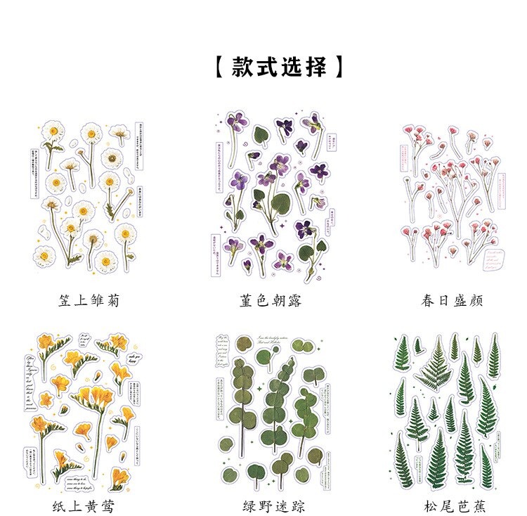 18 stuk Natuurlijke Daisy Clover Woorden Stickers Transparante Bloemen Bladeren Planten Deco