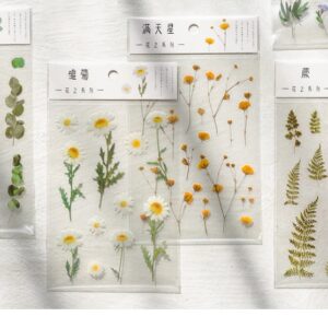 10 stuk Natuurlijke Daisy Clover Woorden Stickers Transparante Bloemen Bladeren Planten Deco